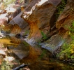 PICTURES/Sedona West Fork Trail  - Again/t_Oak Creek4a.jpg